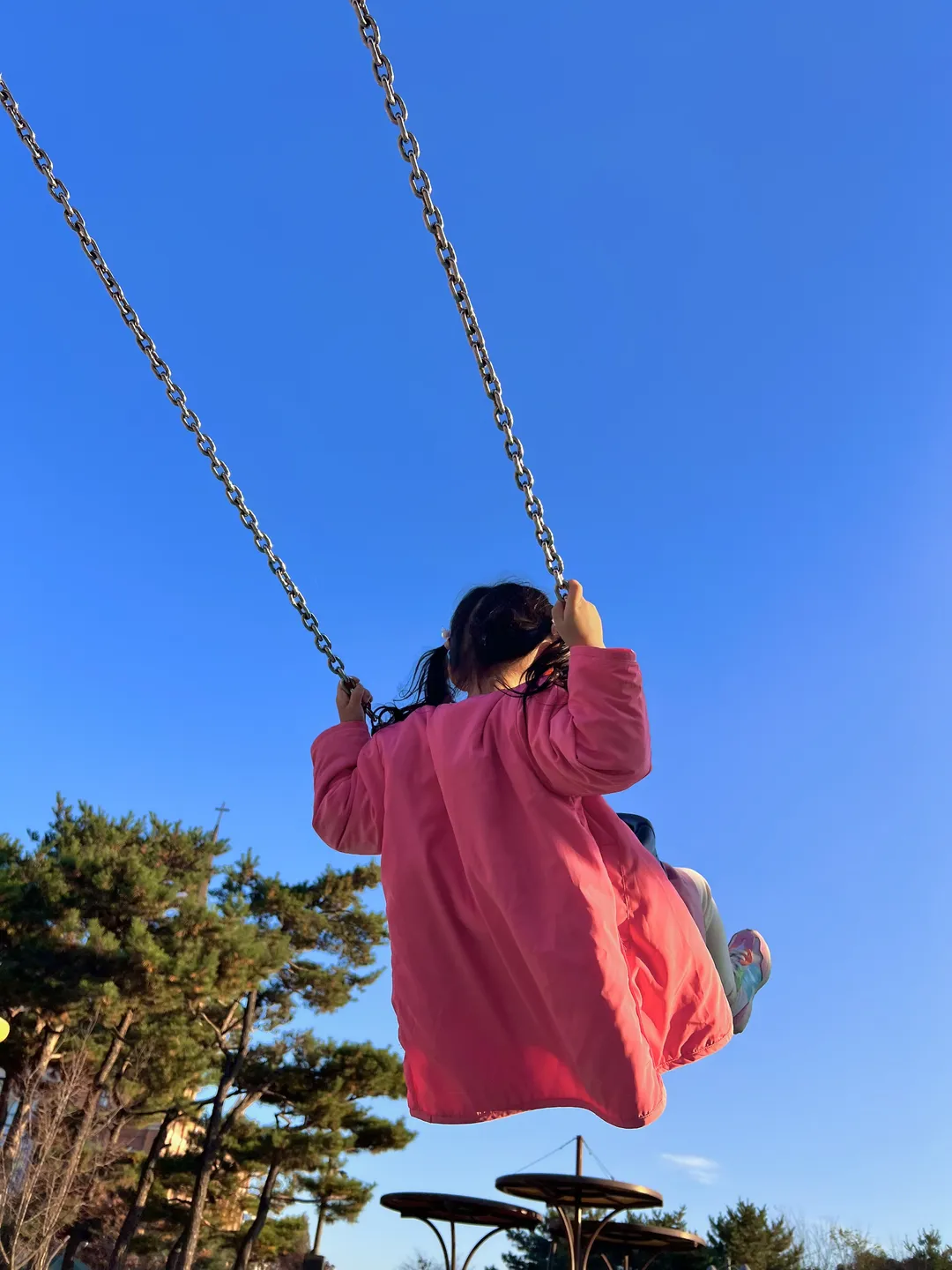 西湖コッモェ公園(森の中の遊び場) 写真 17