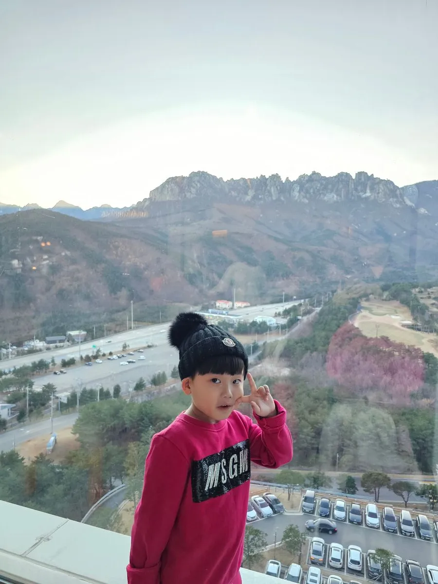 델피노 더엠브로시아