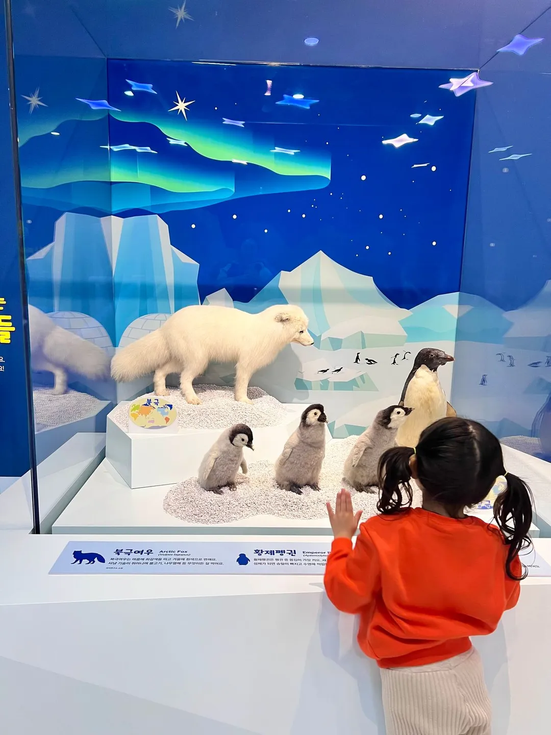 国立仁川海洋博物館 写真 31