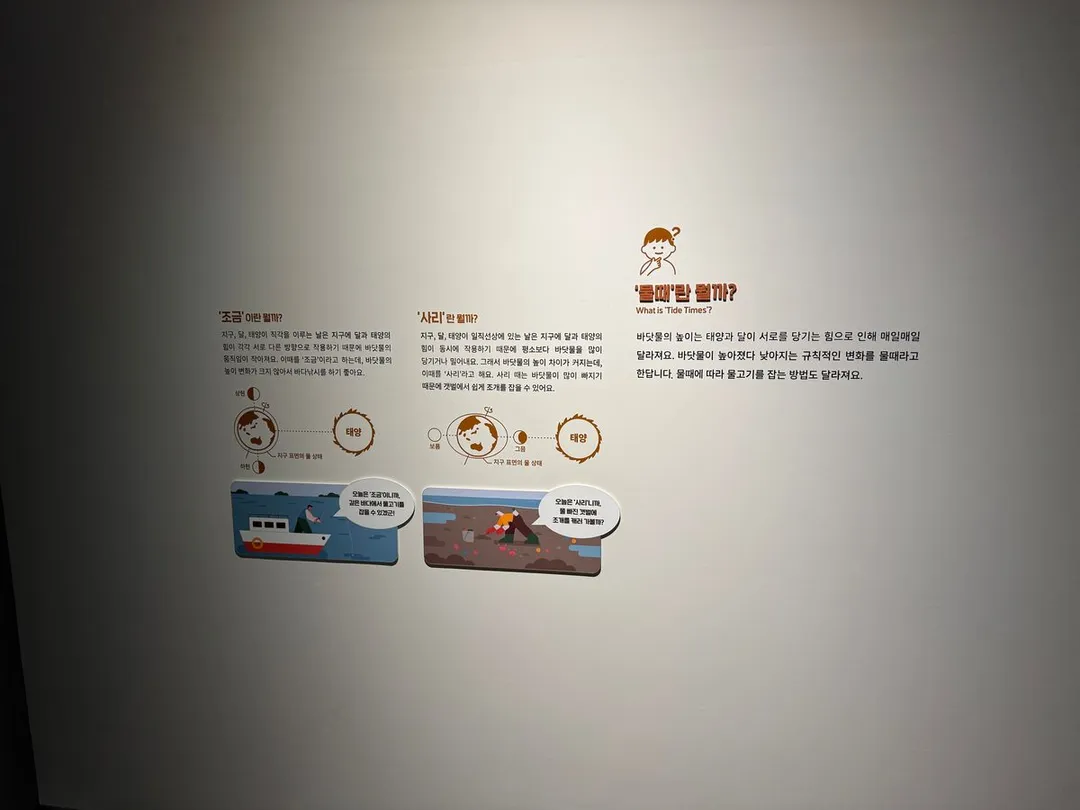 国立仁川海洋博物館 写真 17