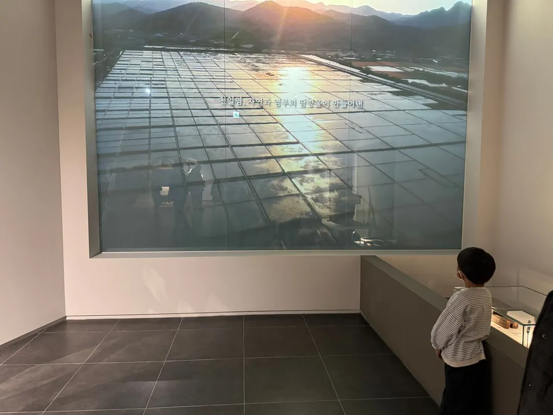国立仁川海洋博物館 写真 28