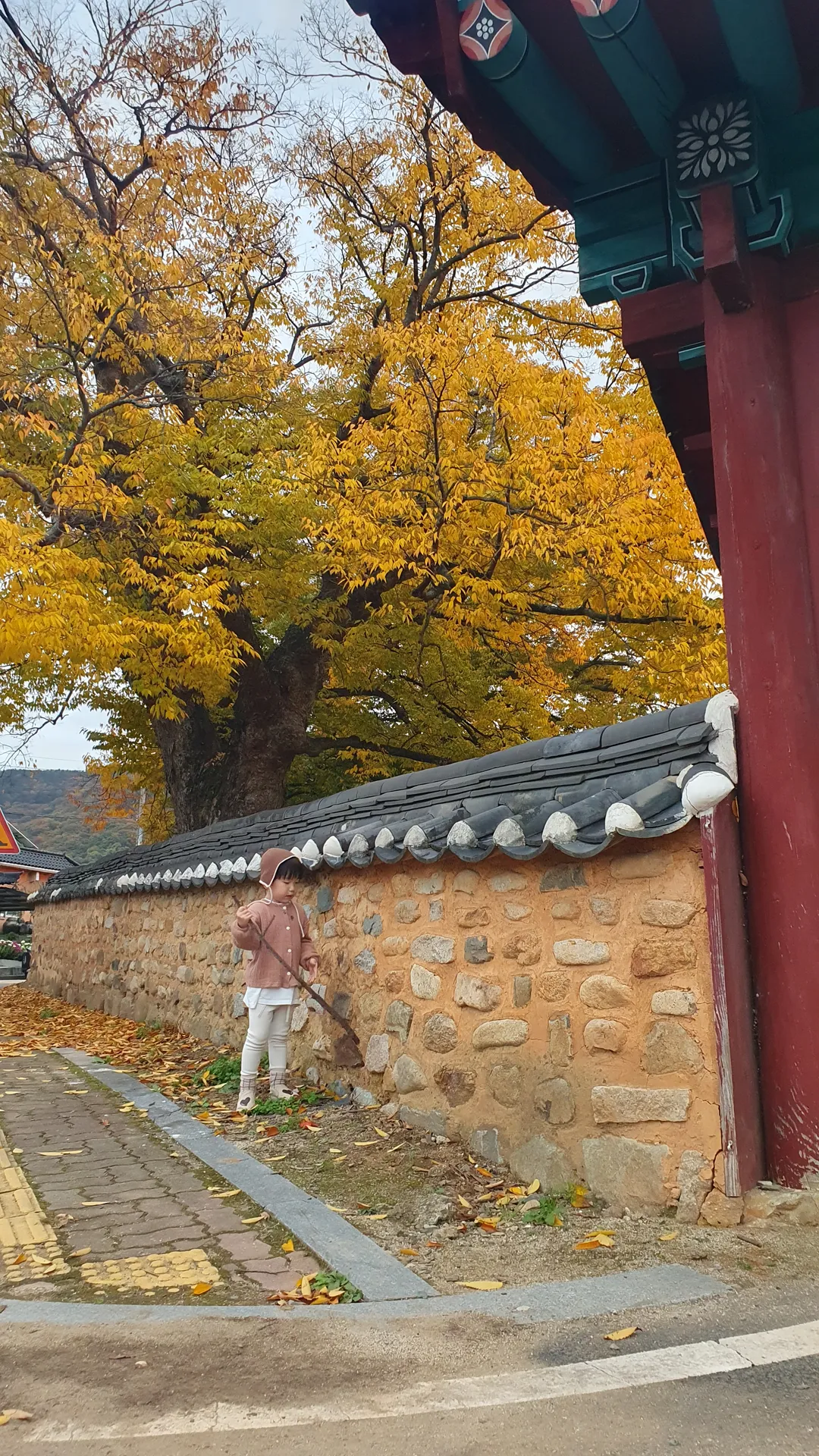 청도향교