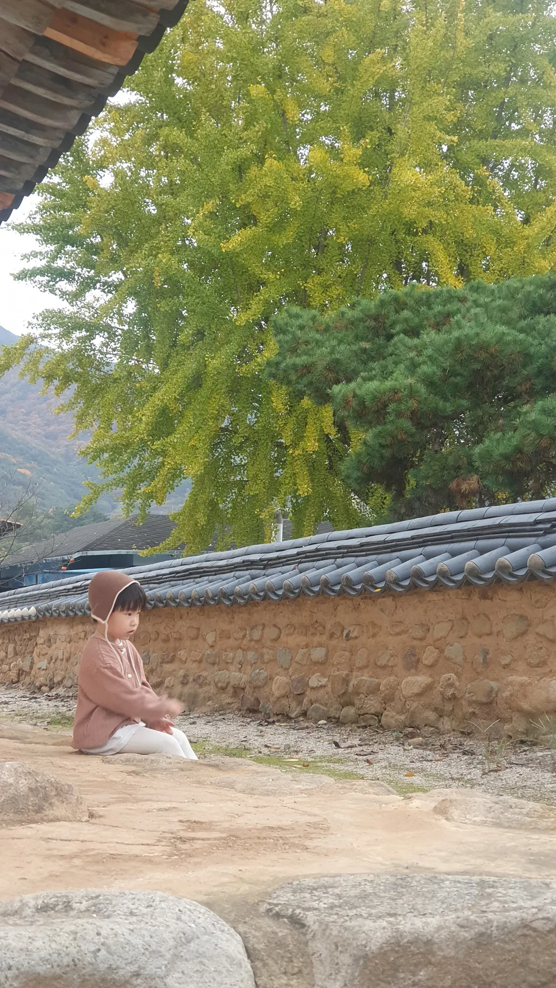 청도향교