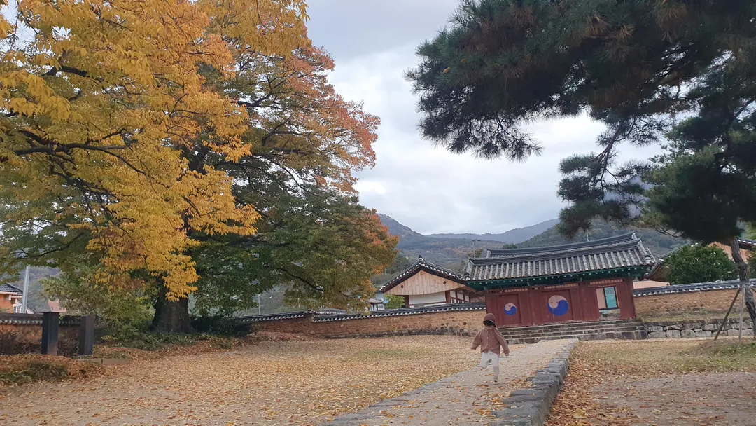 청도향교
