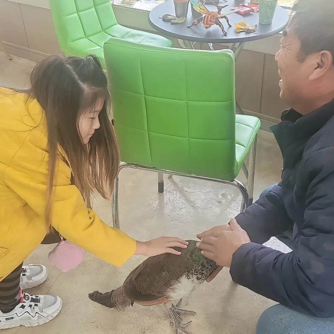울산하늘목장 사진 7