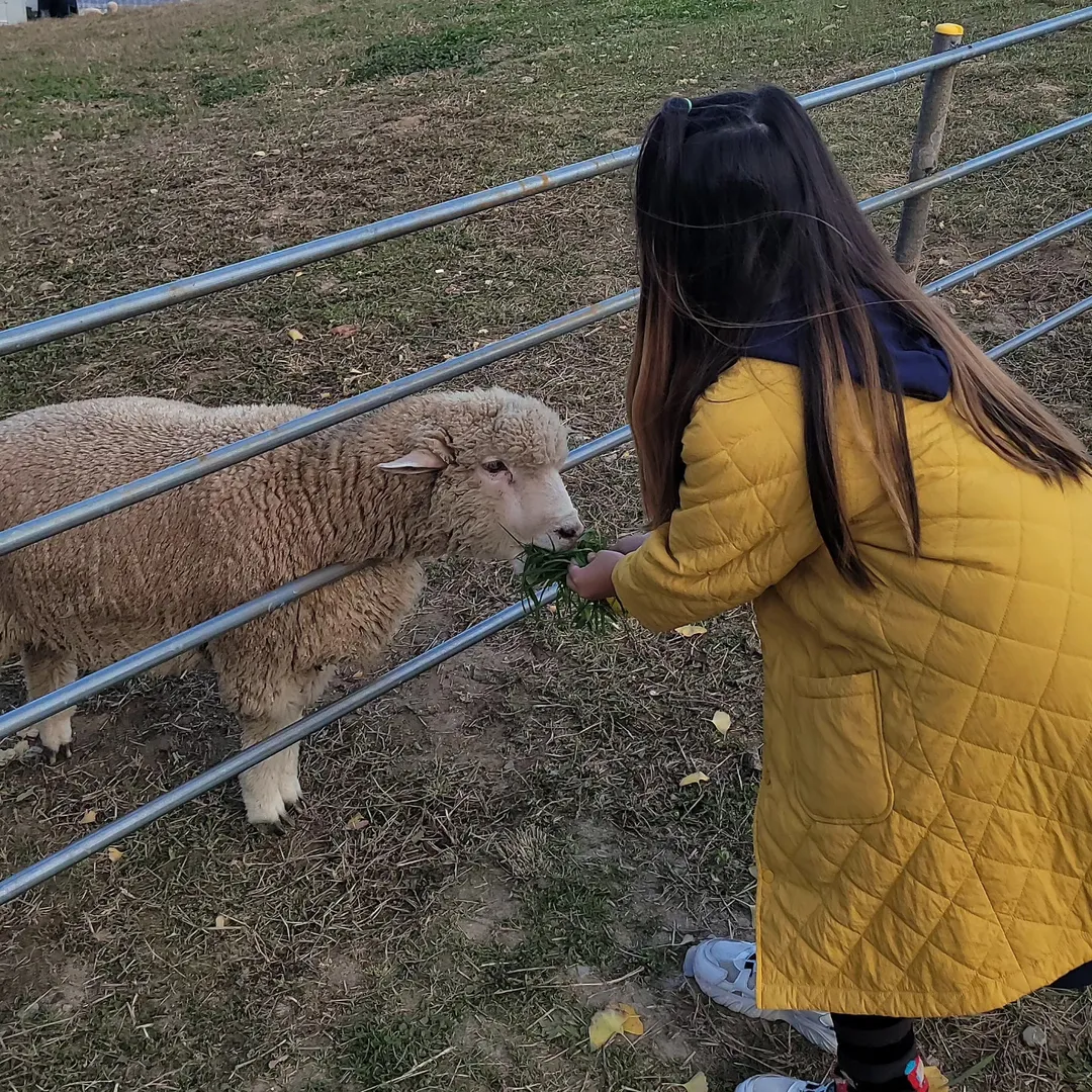울산하늘목장