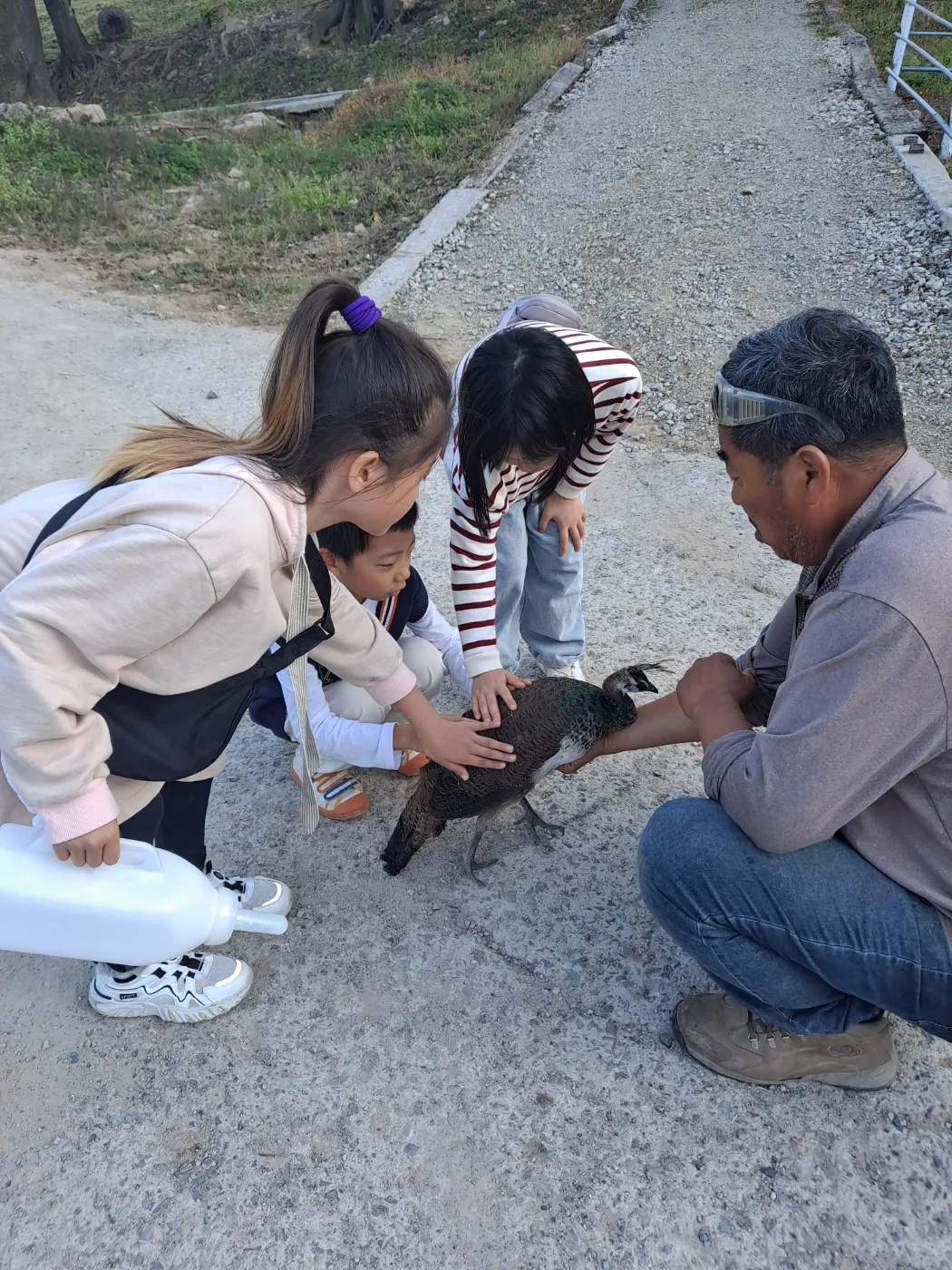 울산하늘목장 사진 8