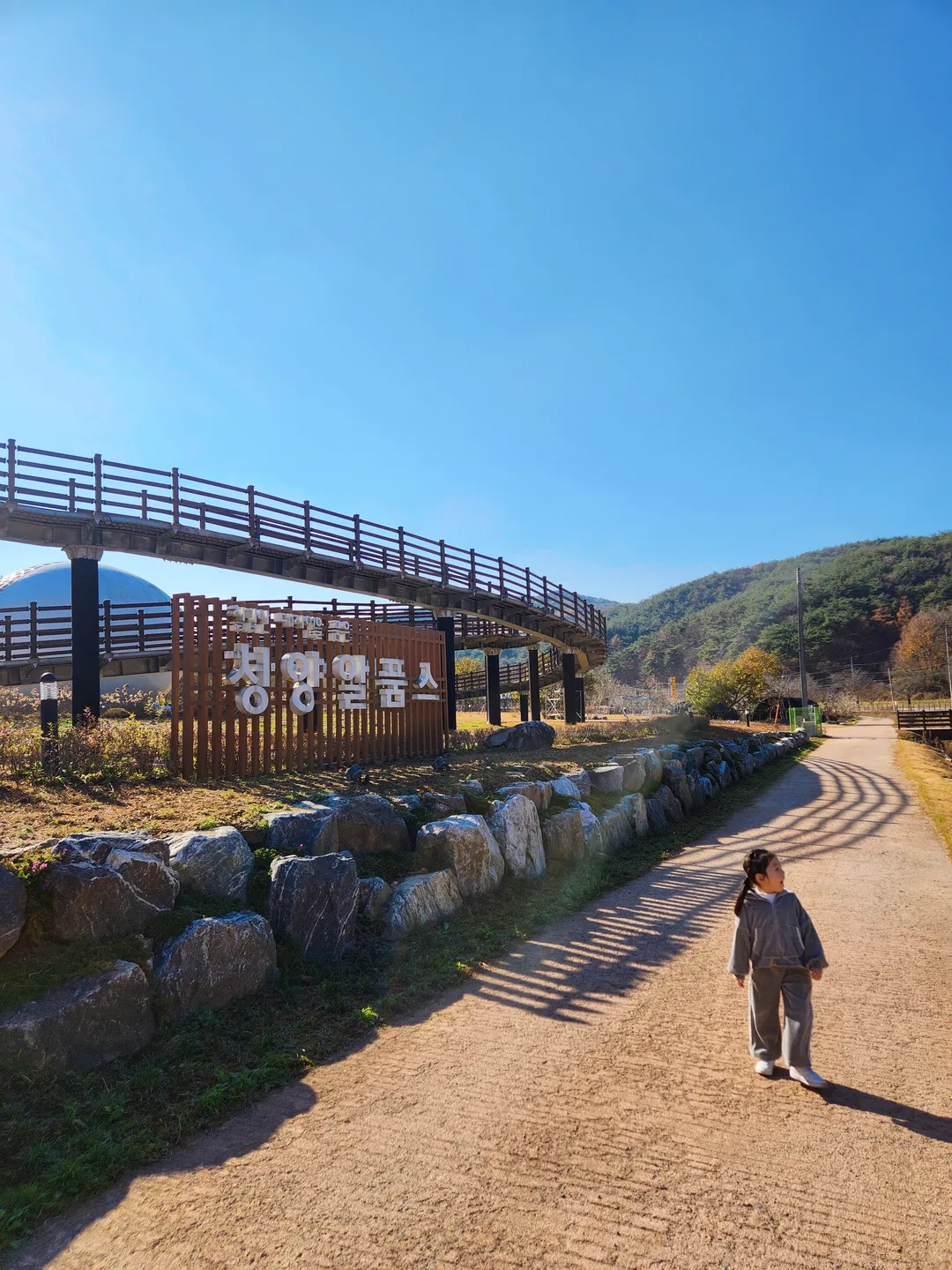 칠갑산 장승공원 사진 14