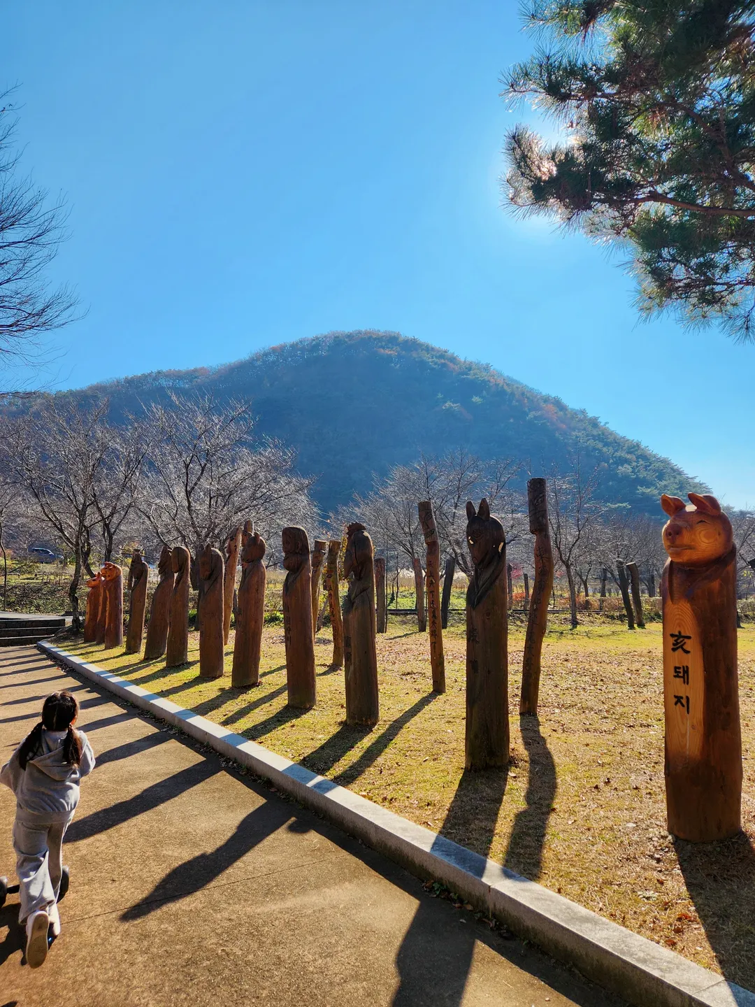칠갑산 장승공원 사진 18