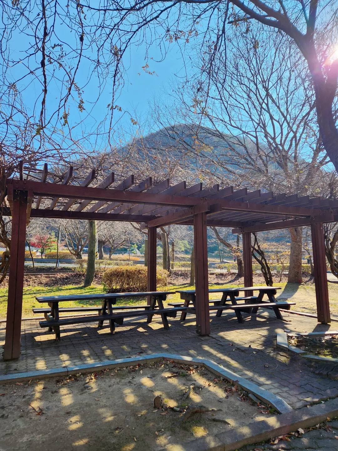 칠갑산 장승공원 사진 20