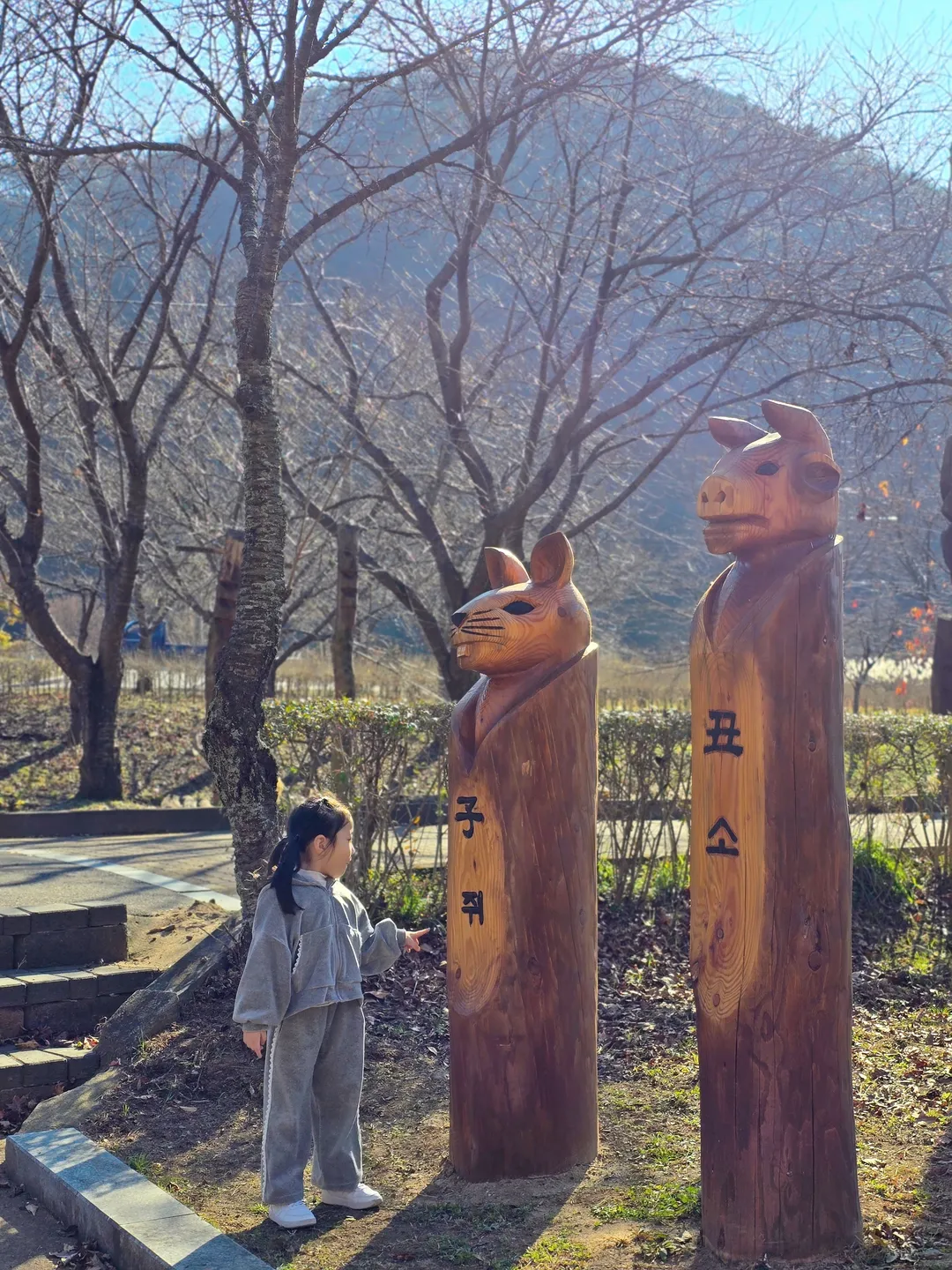 칠갑산 장승공원 사진 12