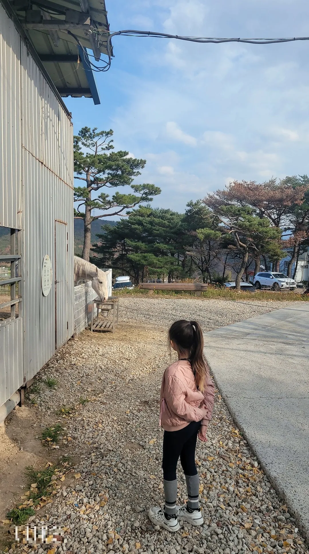 울산하늘목장 사진 13