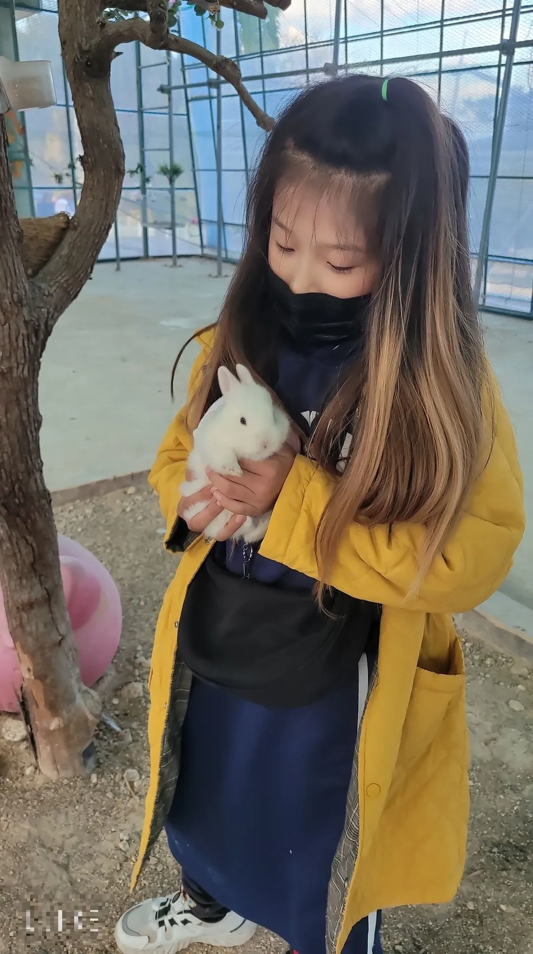 울산하늘목장