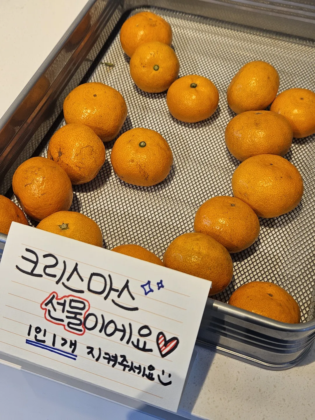 원데이캠퍼 사진 25