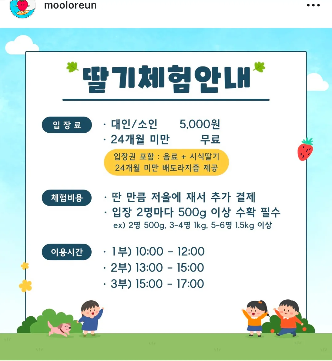 물오른딸기 사진 7