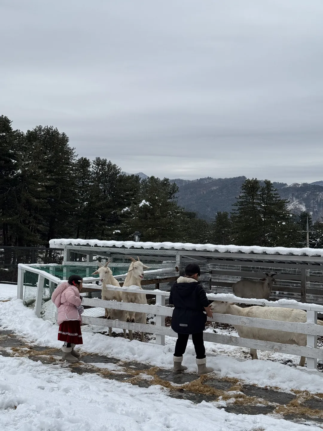 제피르 산들바람 가평관광농원