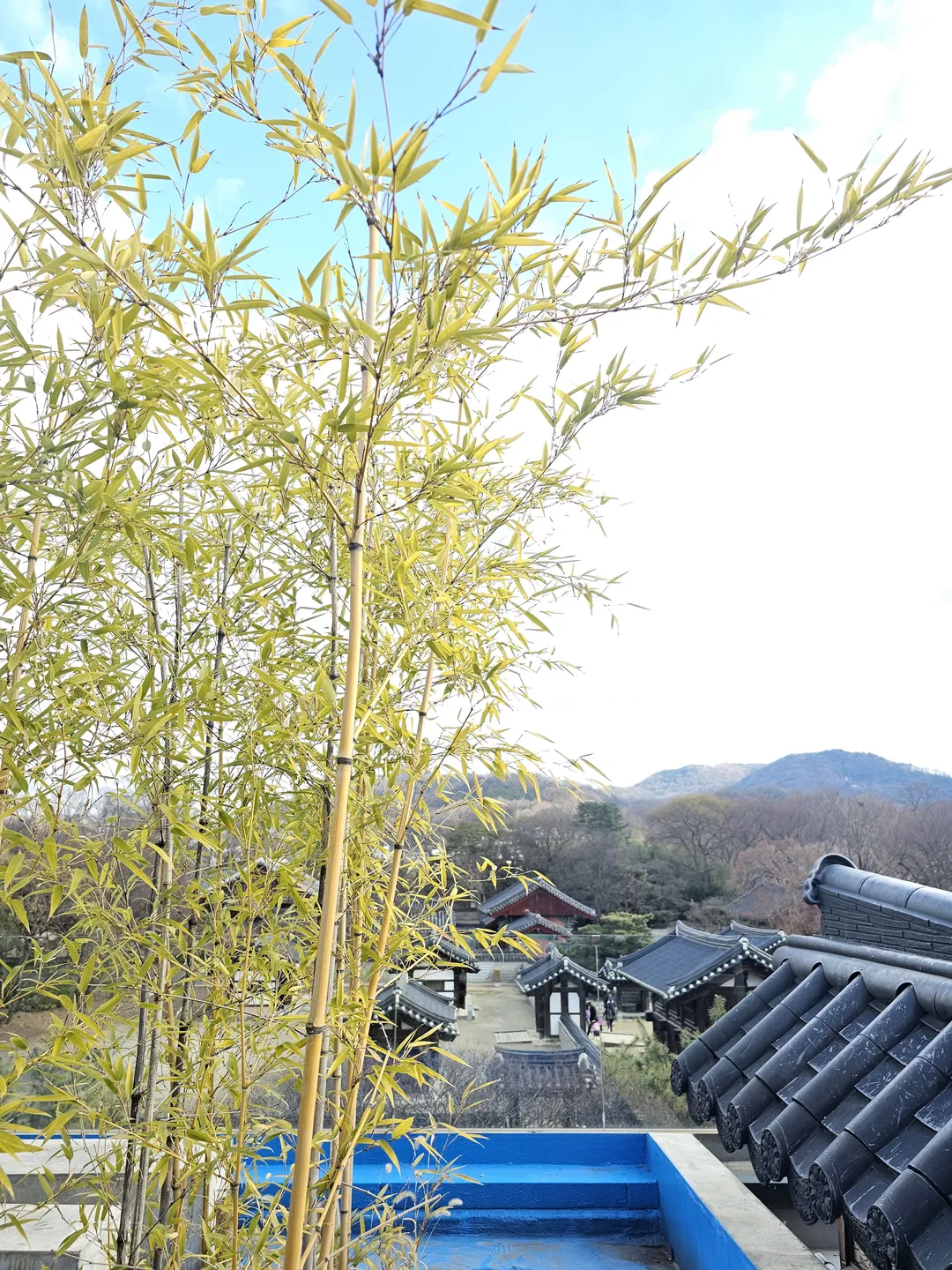 ザ・マシランゲ 写真 8