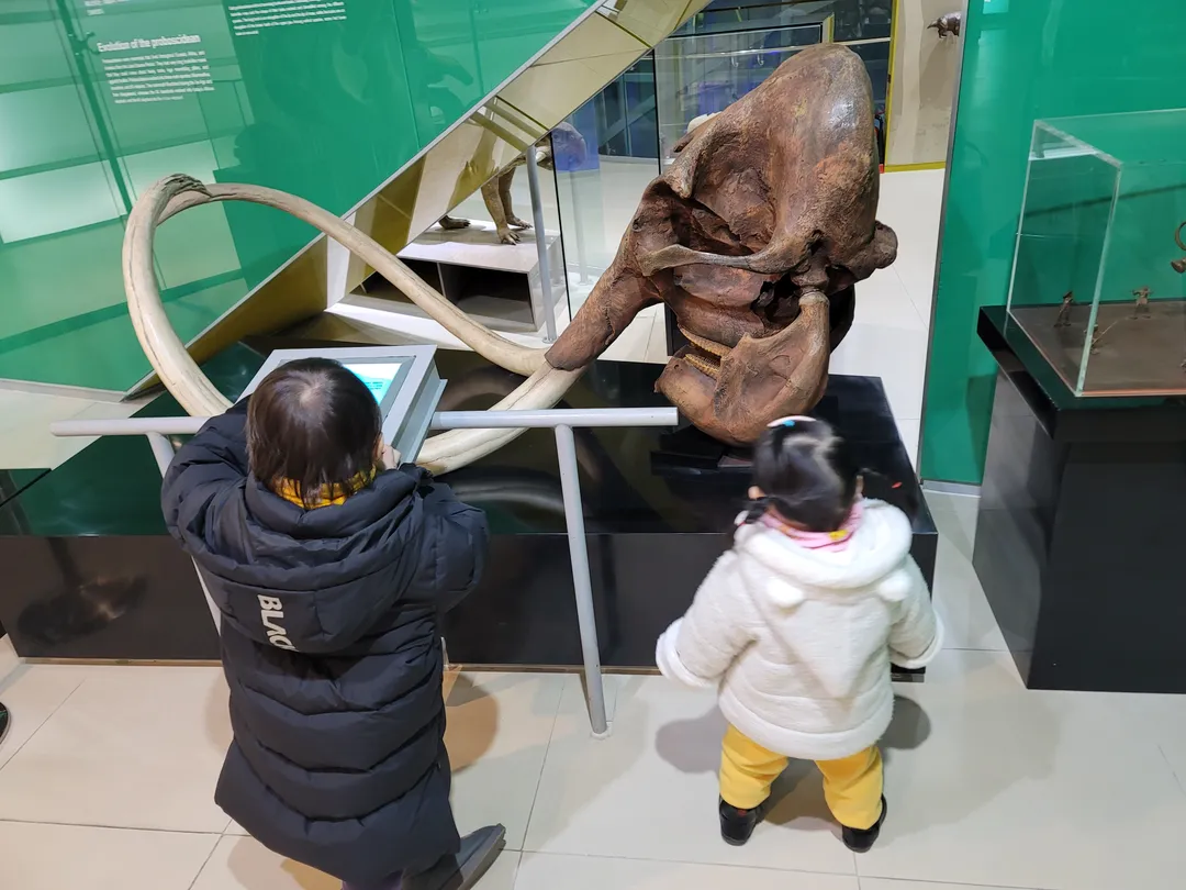 태백고생대자연사박물관 사진 23