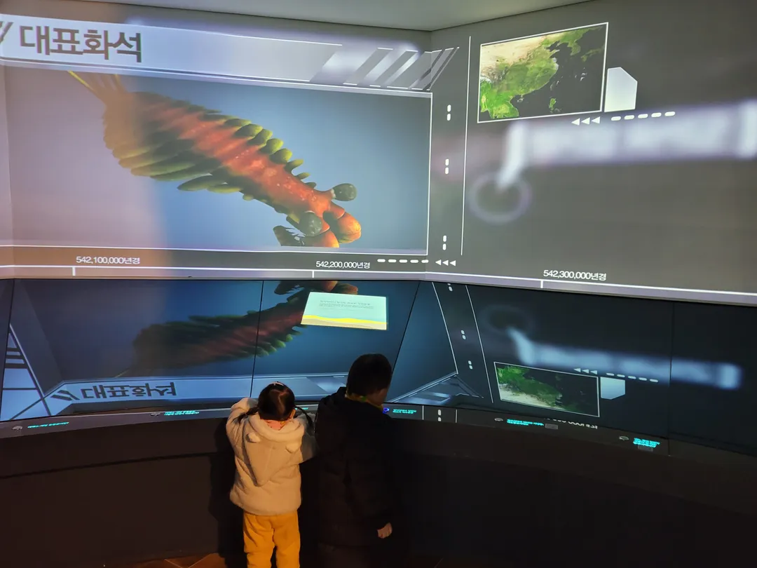 태백고생대자연사박물관 사진 14