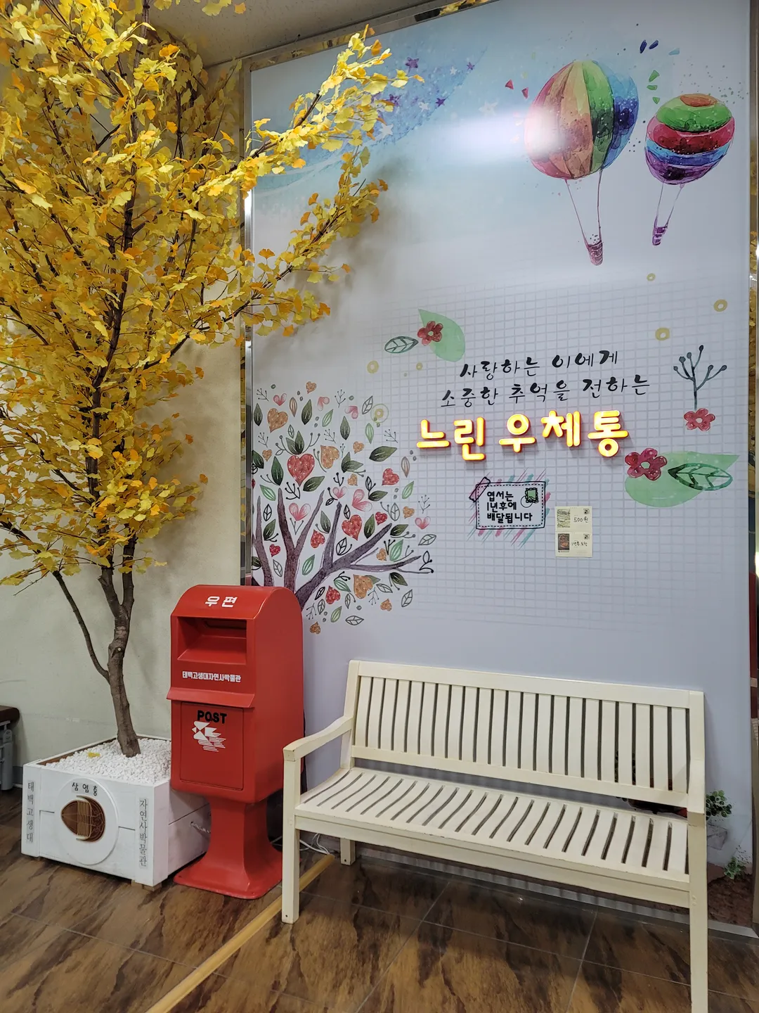 태백고생대자연사박물관 사진 27