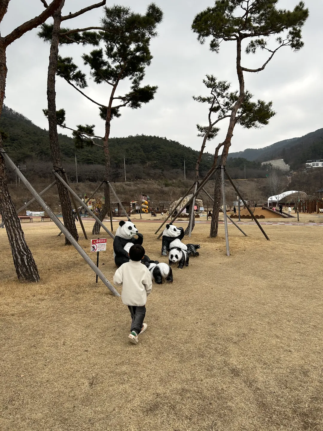 청도신화랑풍류마을 스카이트레일