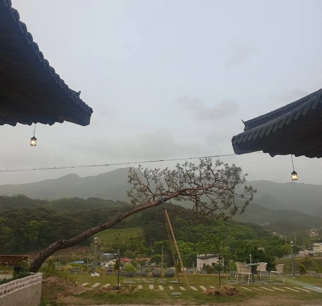 몽그리즈치즈카페 사진 7