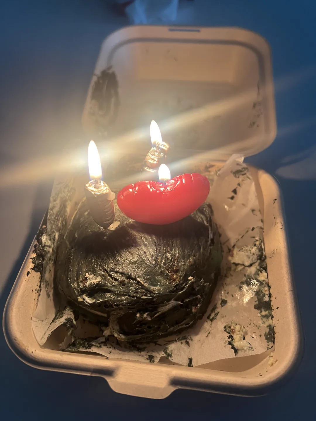 케이크시즌 사진 9
