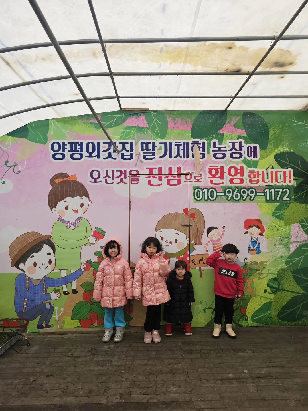 양평외갓집딸기농장 사진 12
