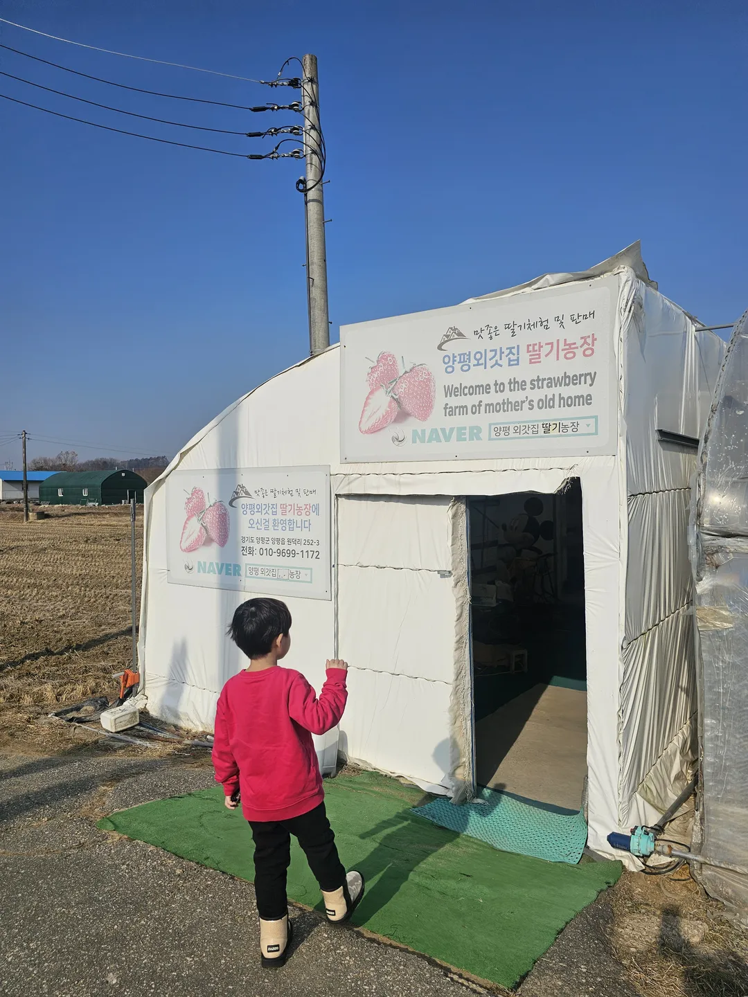 양평외갓집딸기농장 사진 13