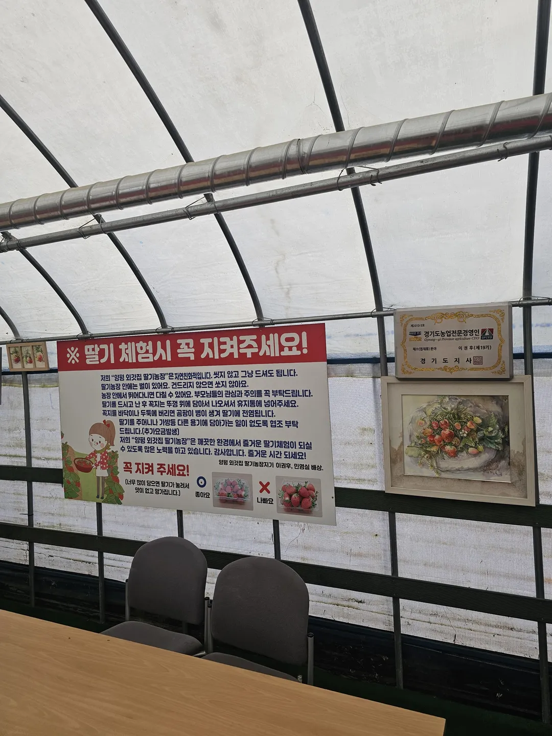양평외갓집딸기농장 사진 9