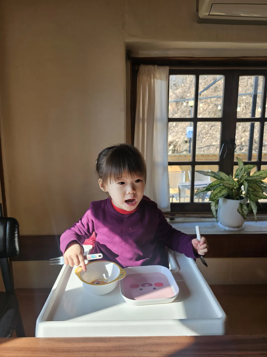 오늘 사진 7