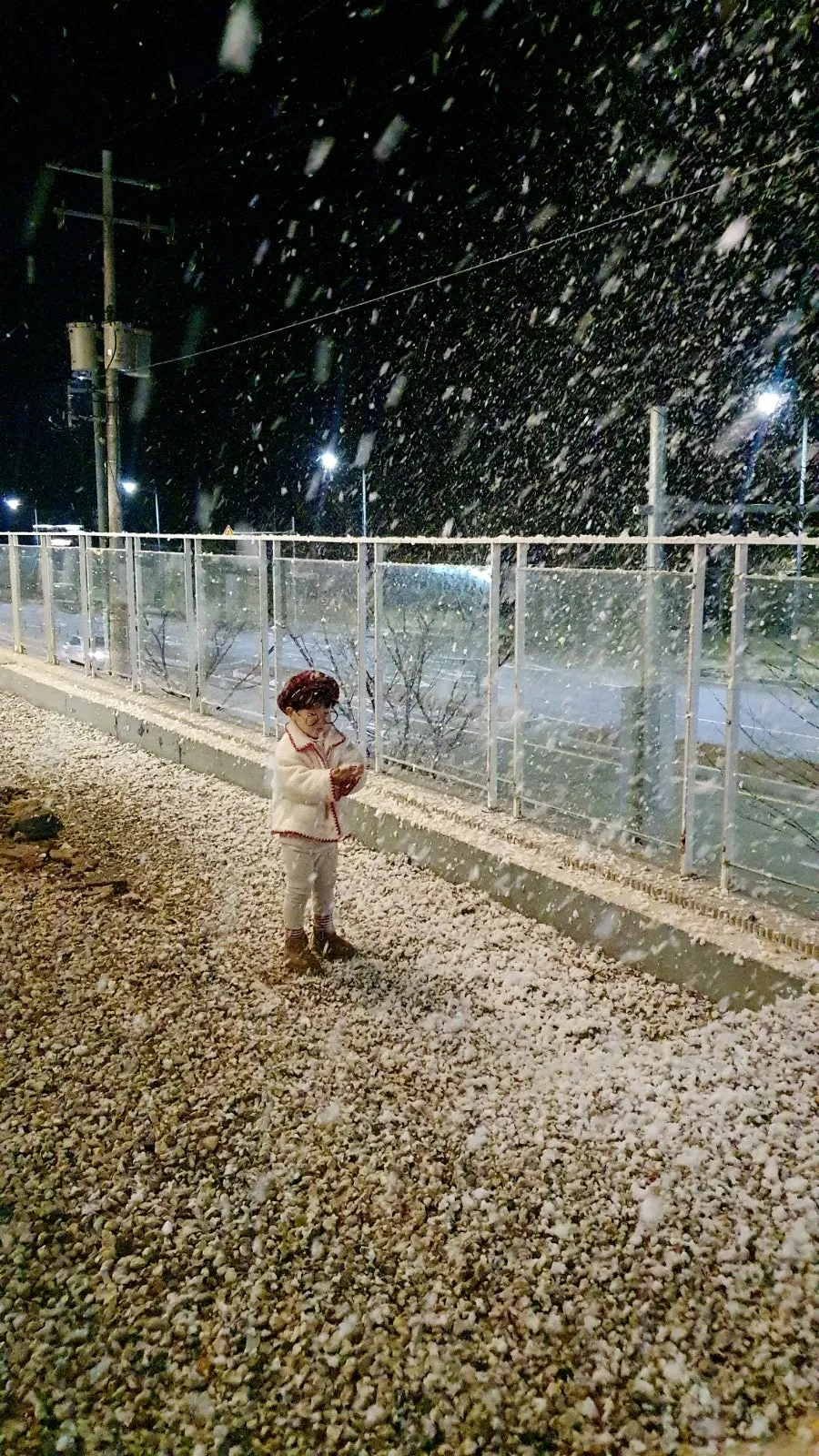 요거트퍼플 경산점 사진 9