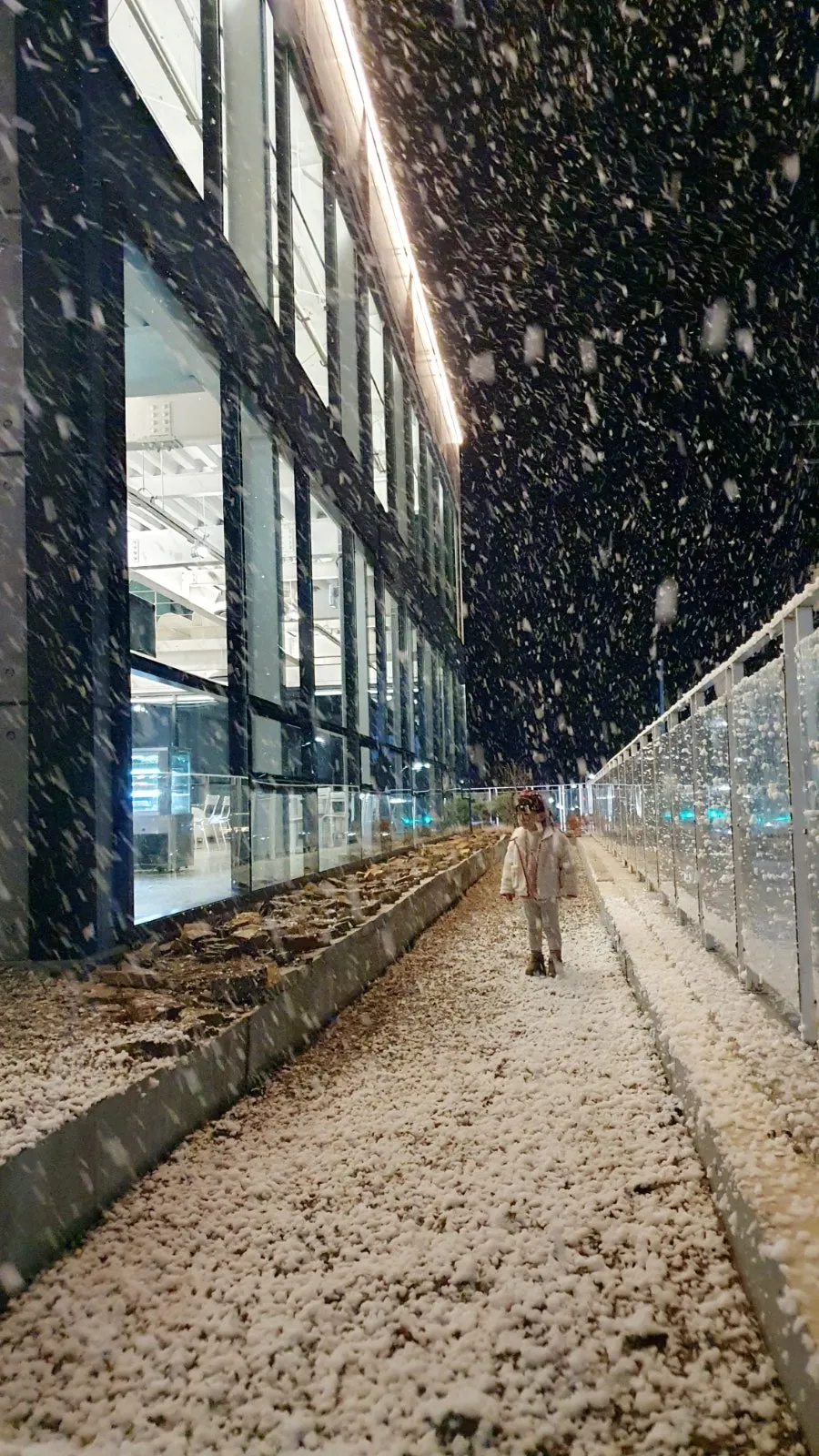 요거트퍼플 경산점