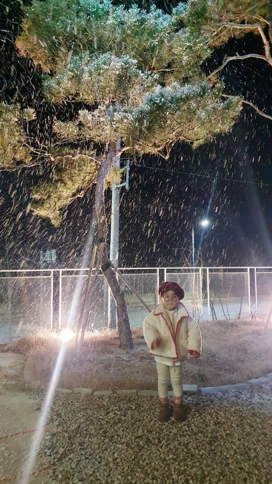 요거트퍼플 경산점 사진 8