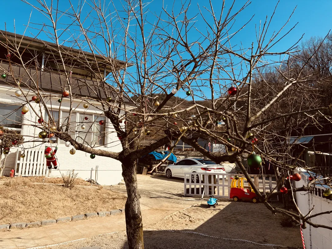 헬로우 사진 19