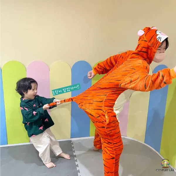 아동놀이연구소 플레이랩 원주점