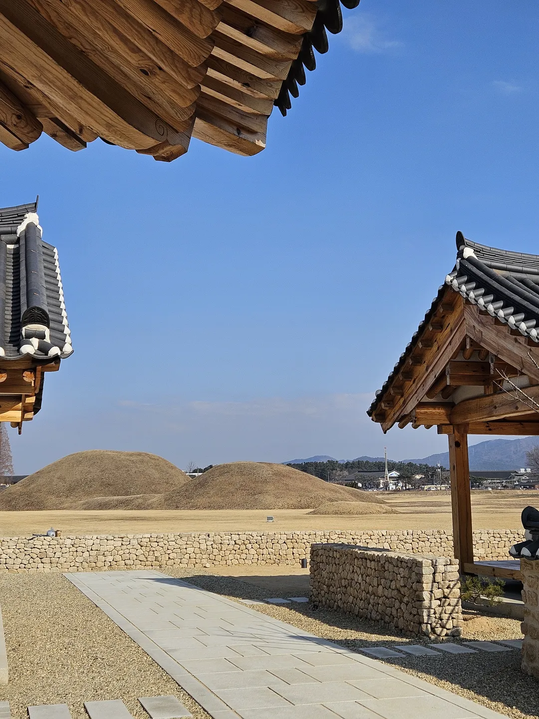 테라로사 경주점 사진 9