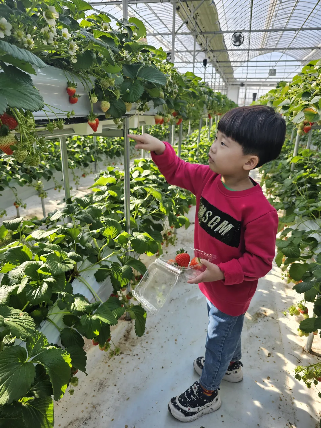 별마을힐링팜 사진 18