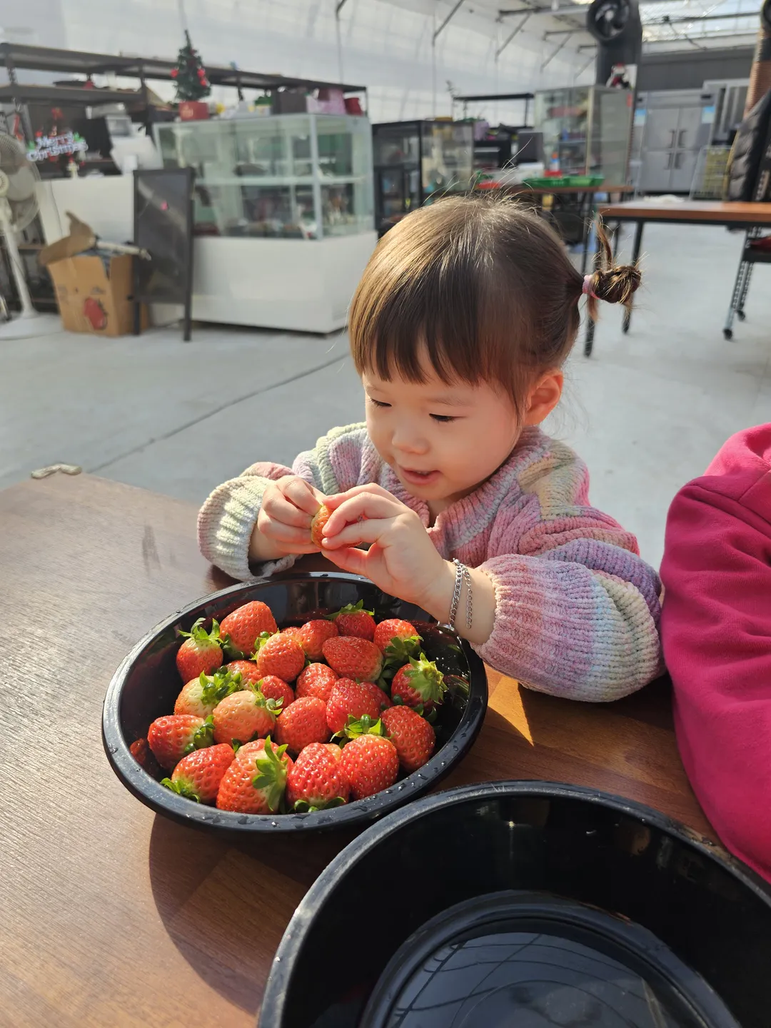 별마을힐링팜 사진 7