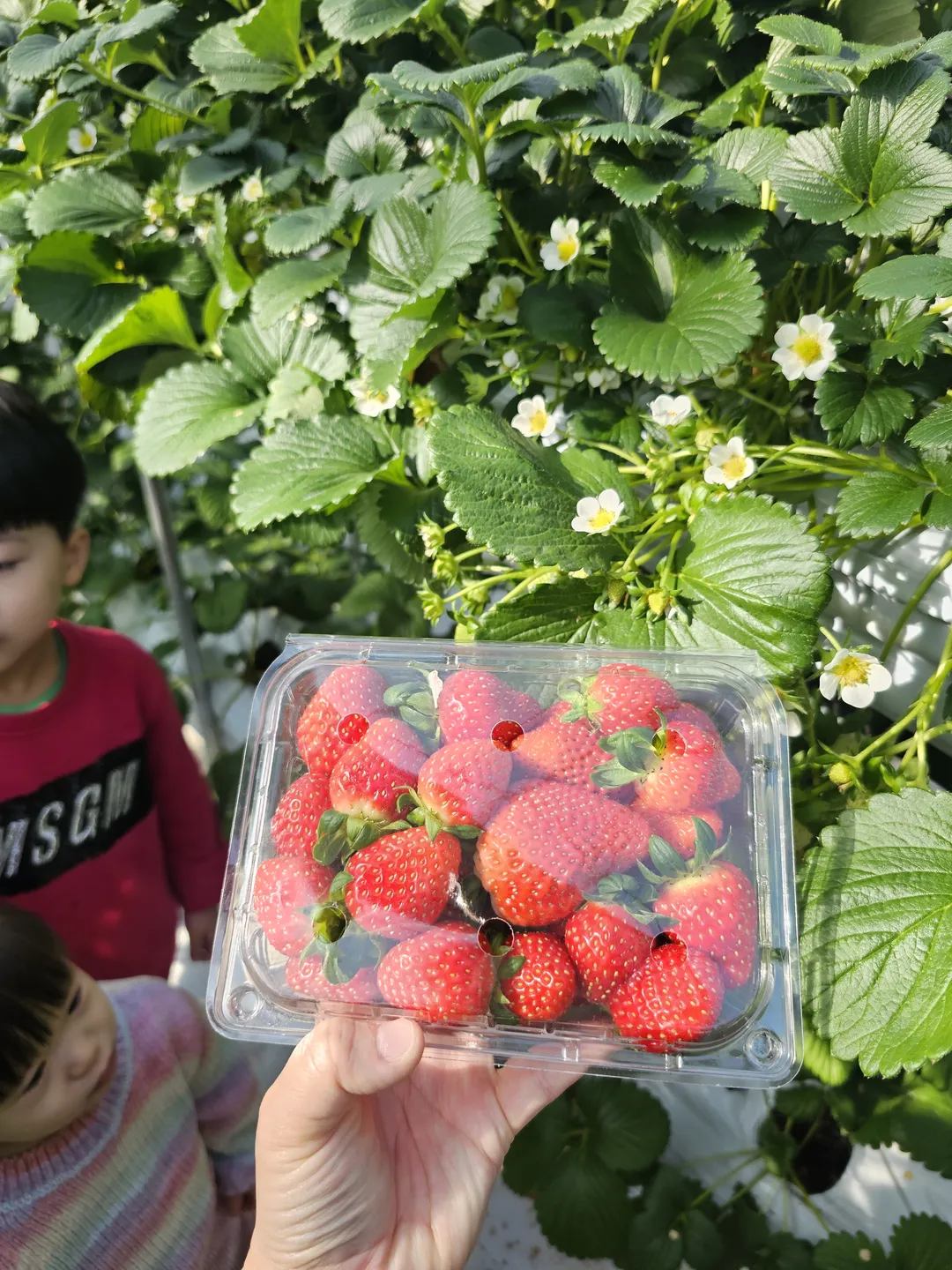 별마을힐링팜 사진 10