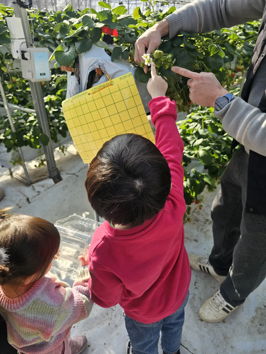 별마을힐링팜 사진 19