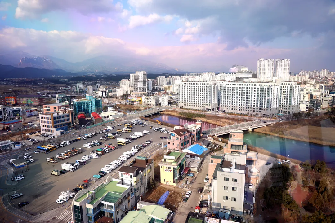 피노디아 엑스포 타워 사진 13