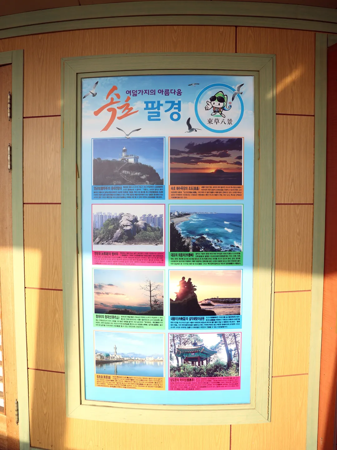 피노디아 엑스포 타워 사진 14