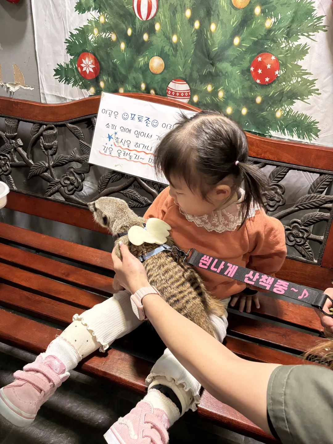 주파크
