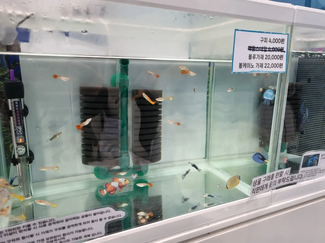 롯데월드 아쿠아리움 사진 22