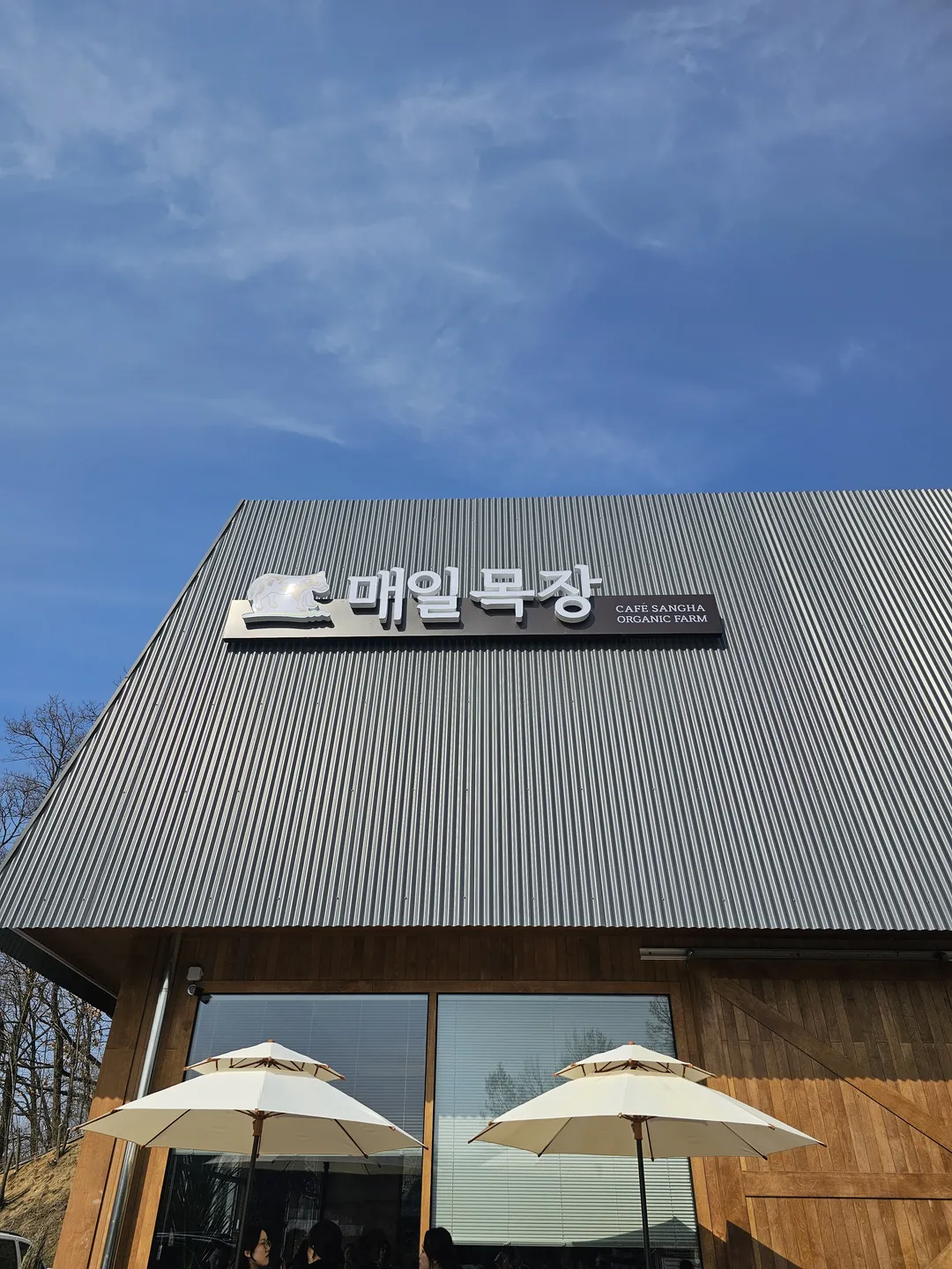 카페 매일목장 사진 26