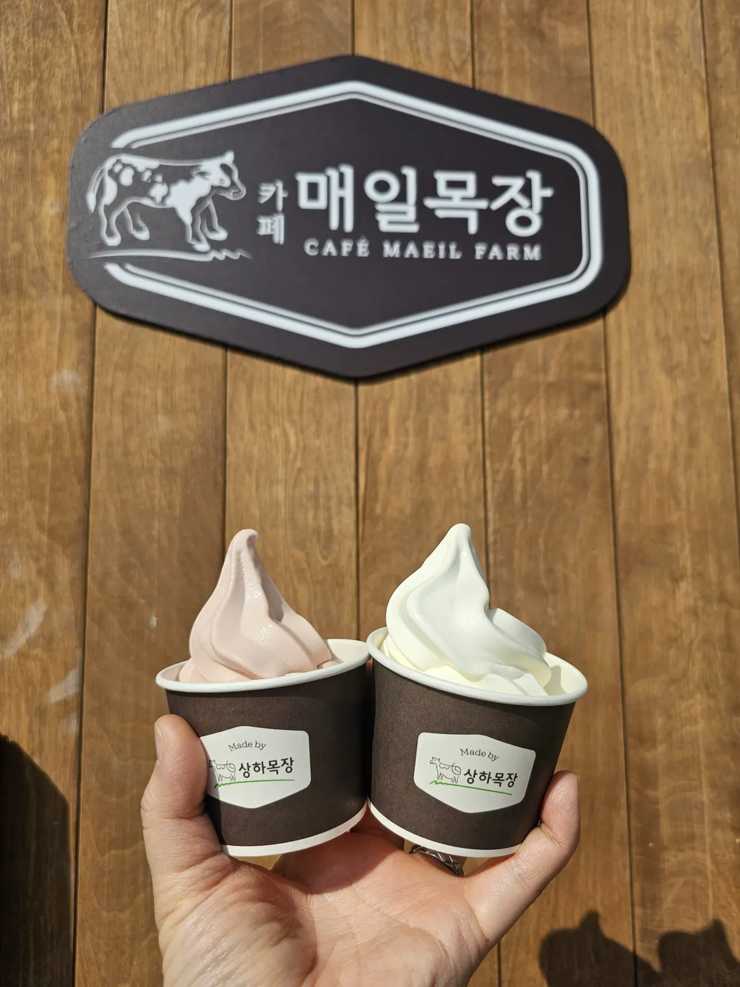카페 매일목장