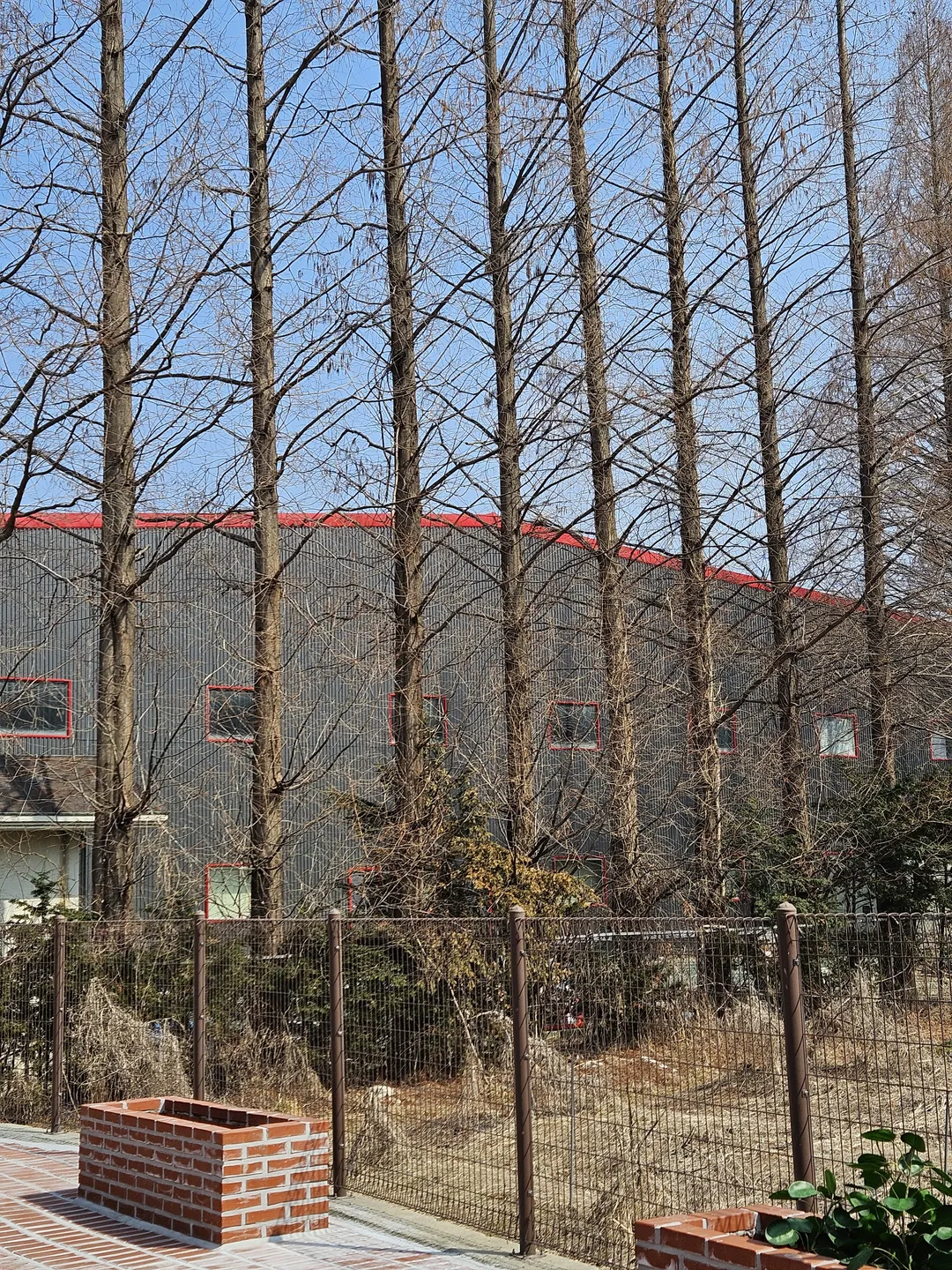 미르키베이글 사진 7