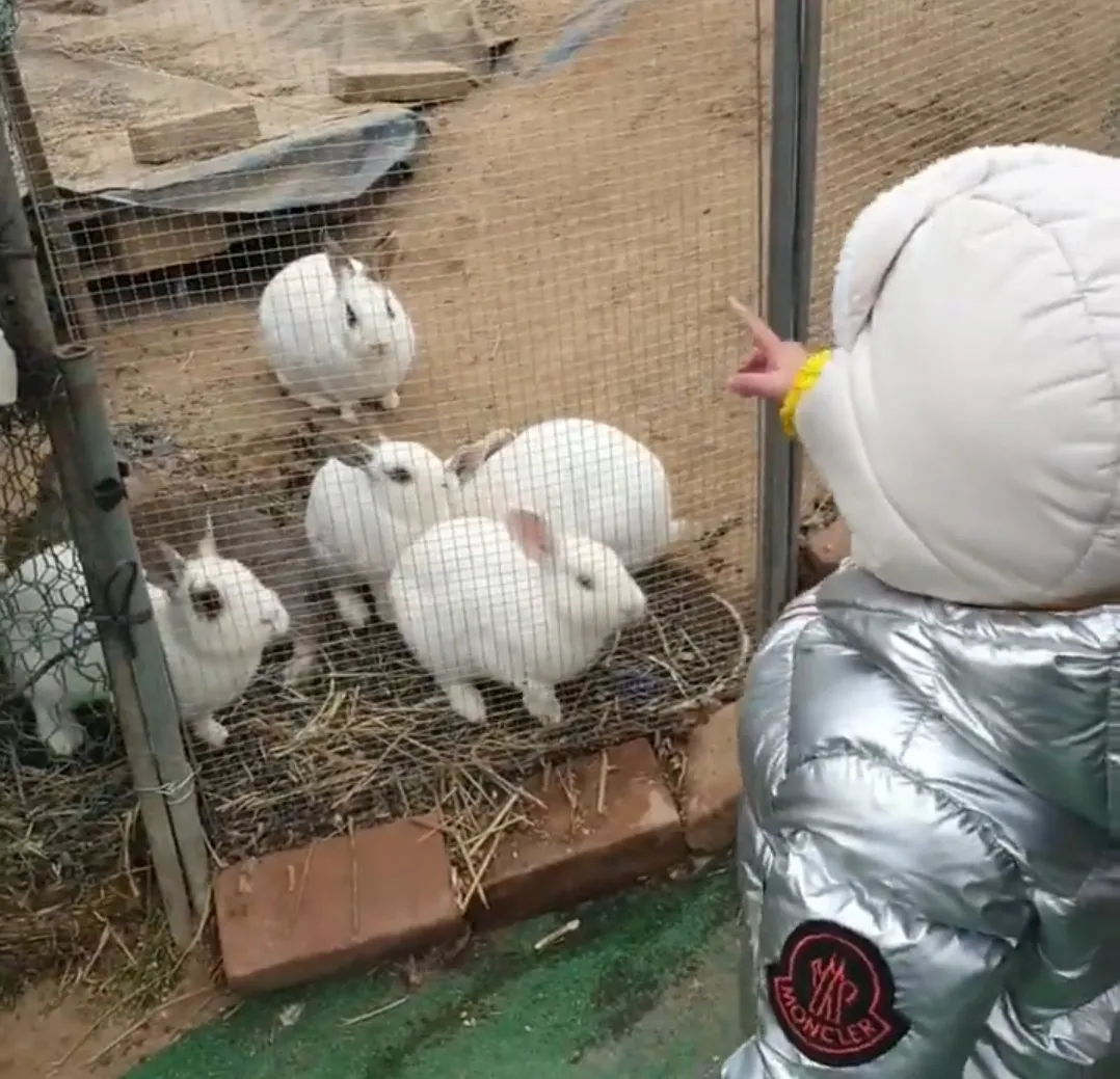 꽃뫼카페휴게소