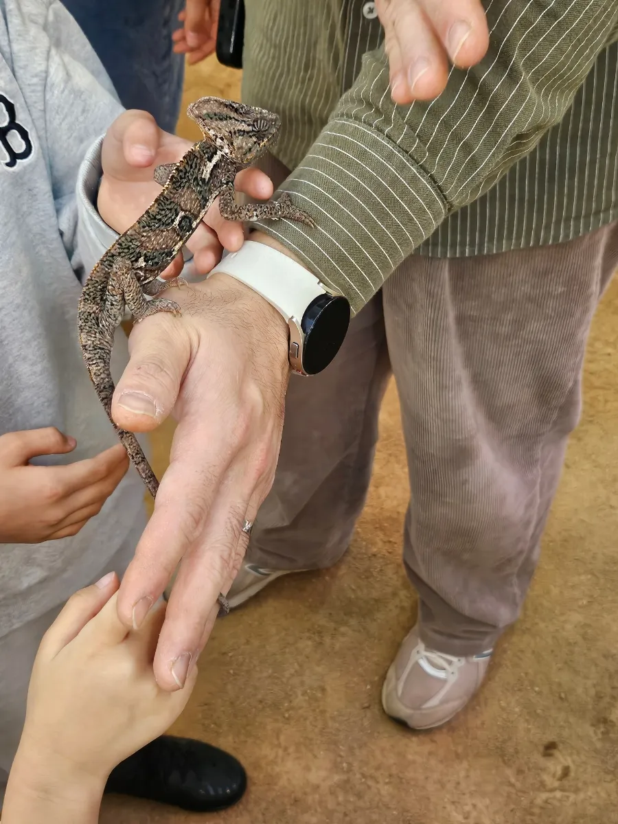 위드벅스